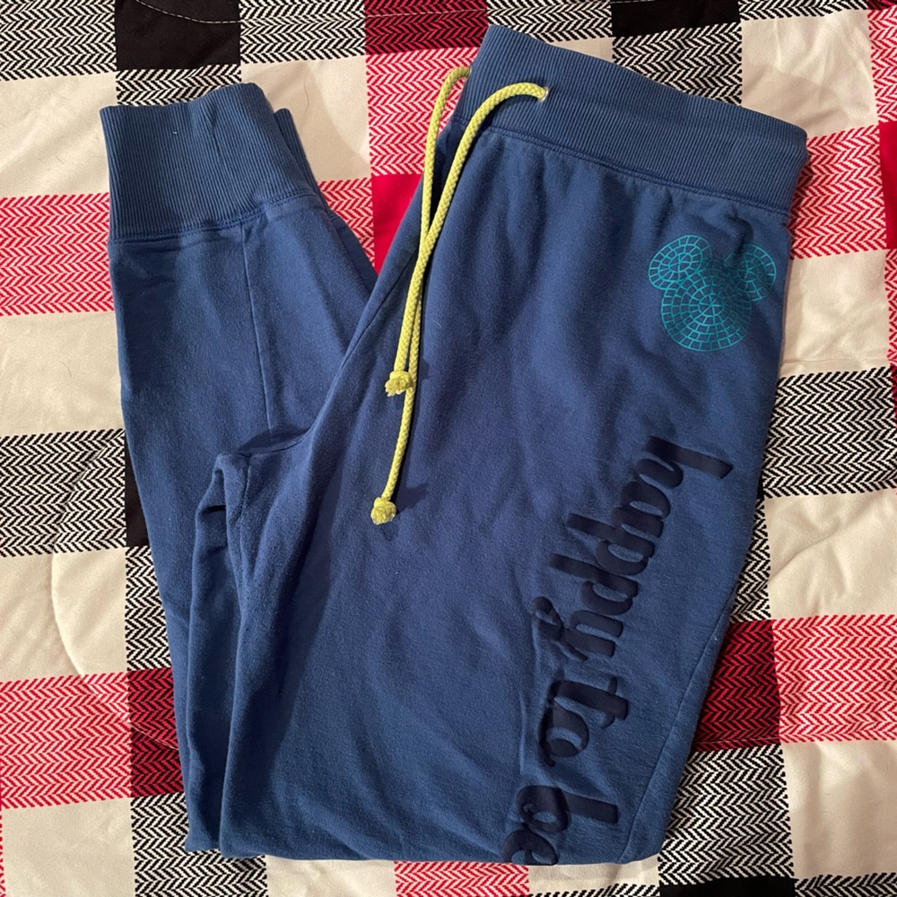 Disney Parks Sweat Pants